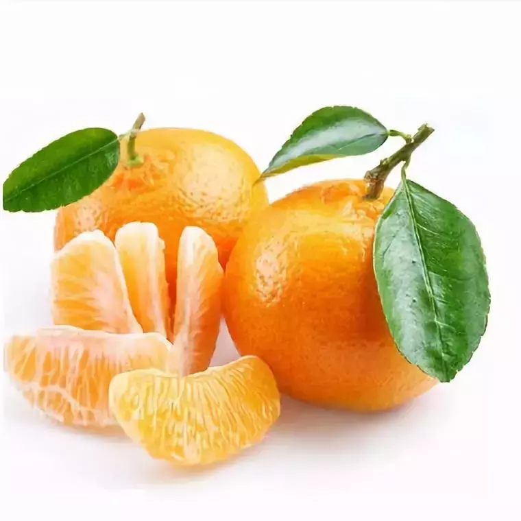 如何分辨柑、橘、桔？