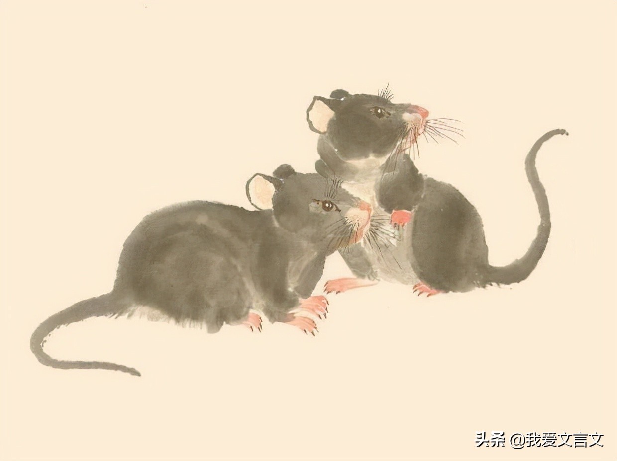 经典文言文赏析 | 黠鼠赋