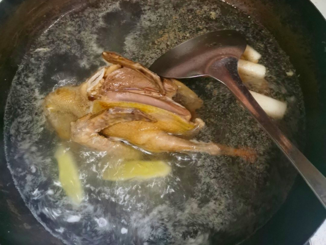 炖鸽子汤时，用老鸽还是乳鸽？教你正确的做法，汤汁鲜美没有腥味