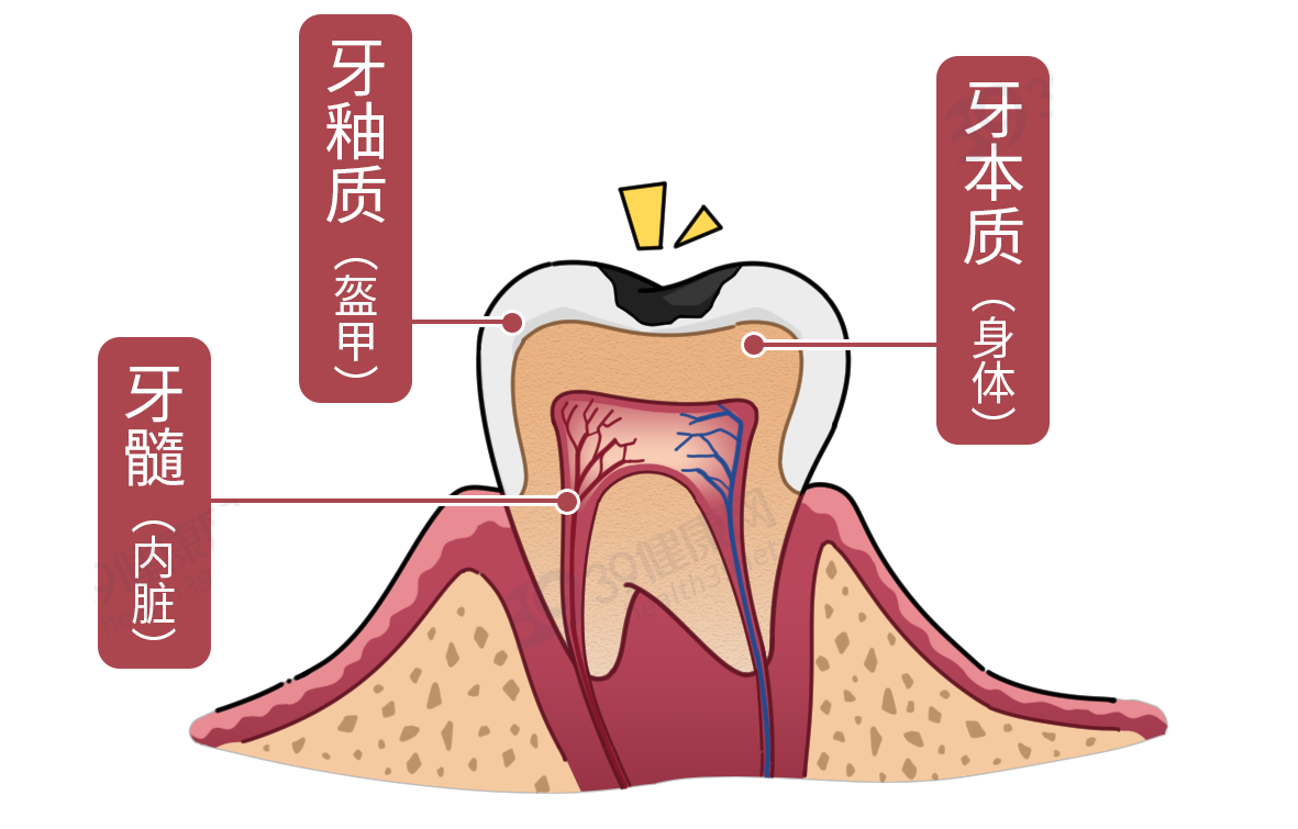 如何护理牙齿，让口腔更健康？记下3个护牙小方法，老了不掉牙