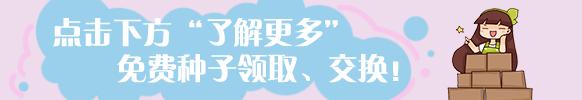 文竹浇白糖水有用吗（文竹的养护方法技巧）