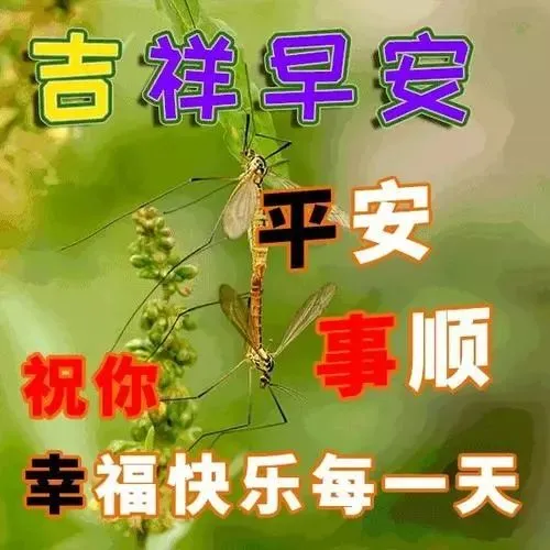 心怀感恩，幸福常在。快乐属于知足者，幸福属于感恩者，早安