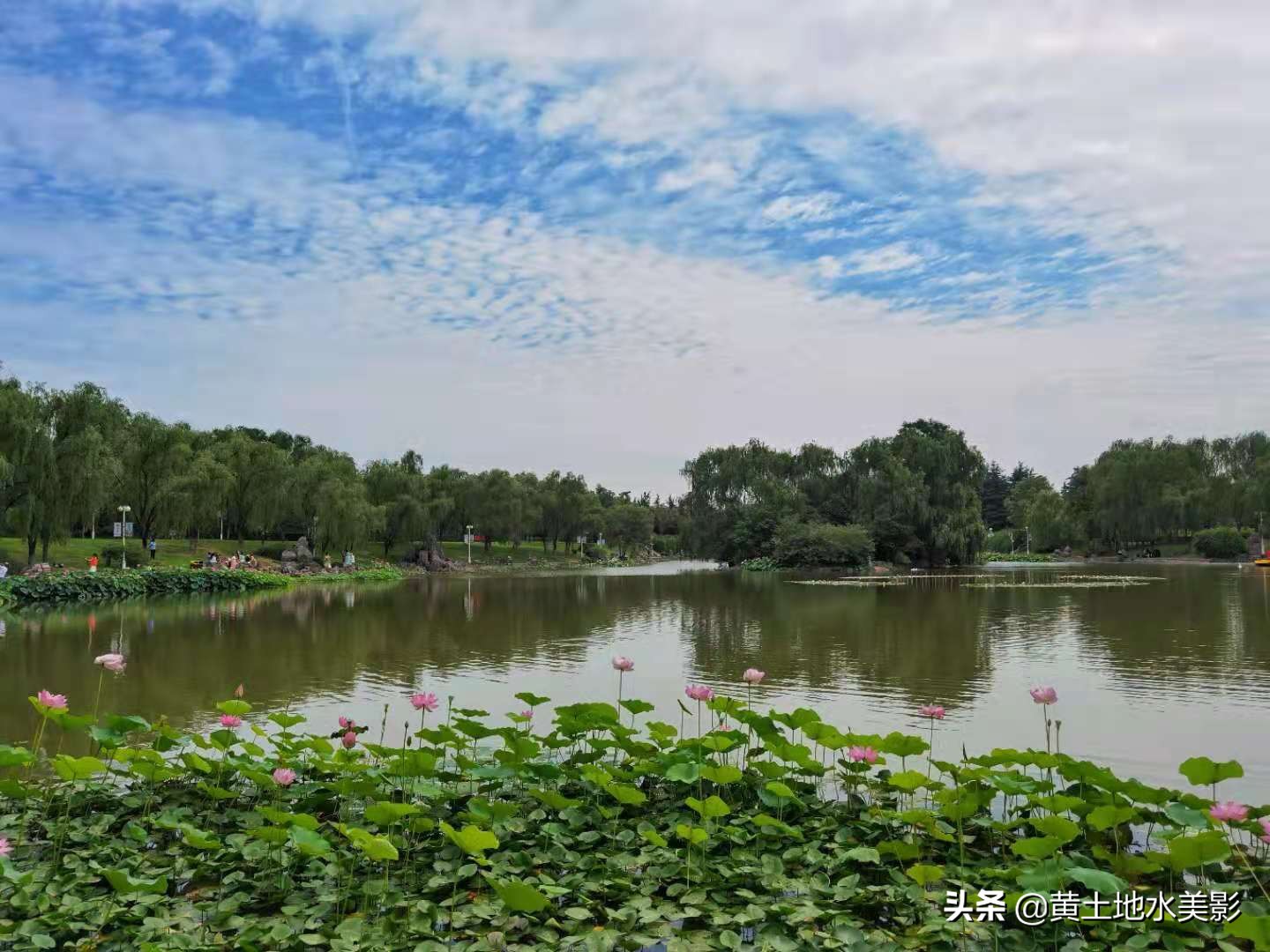 河南这个隋唐遗址上的公园，夏日荷花别样红，游玩消夏很受欢迎