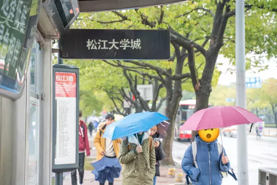 文汇路，松江大学城的美食聚集地！（上）