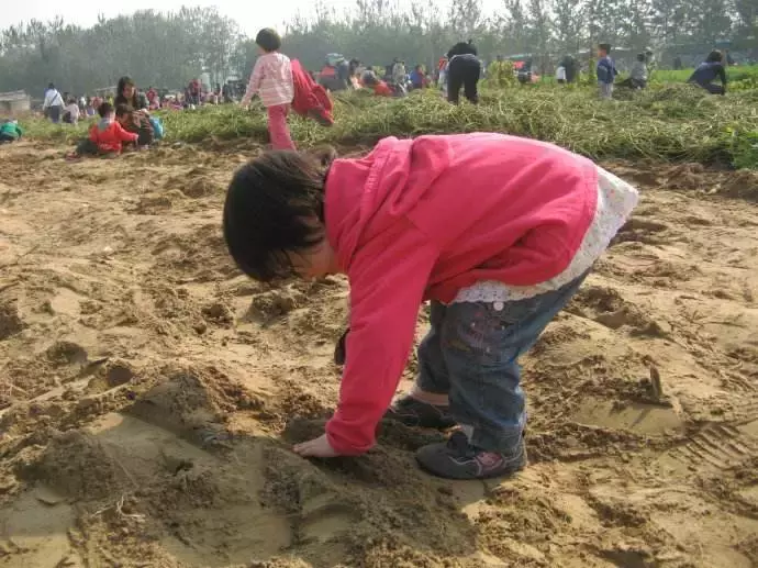 中医五行学说：不接地气不玩土，脾胃气肯定虚