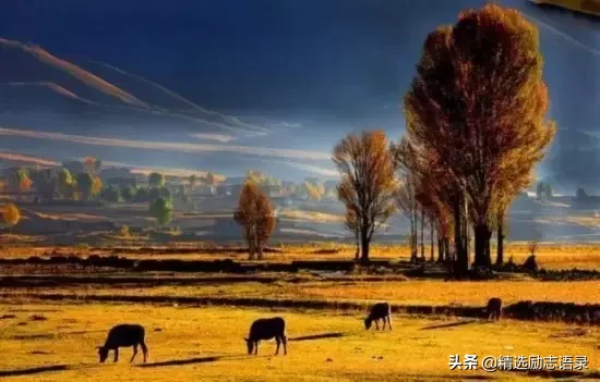 世上最神奇的一句话!(经典)