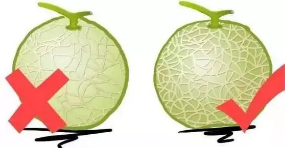 李子是凉性还是热性（最全水果手册赶紧收藏）