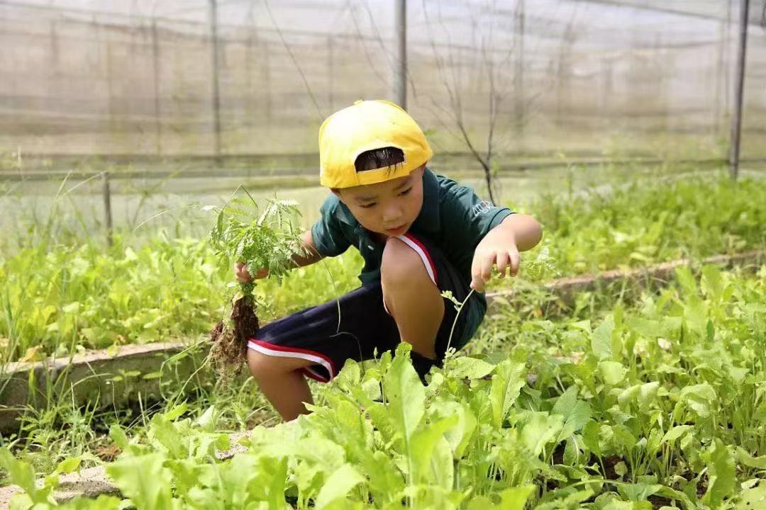 观察力是提高孩子成绩的重要途径，几种观察的方法，家长收藏学习