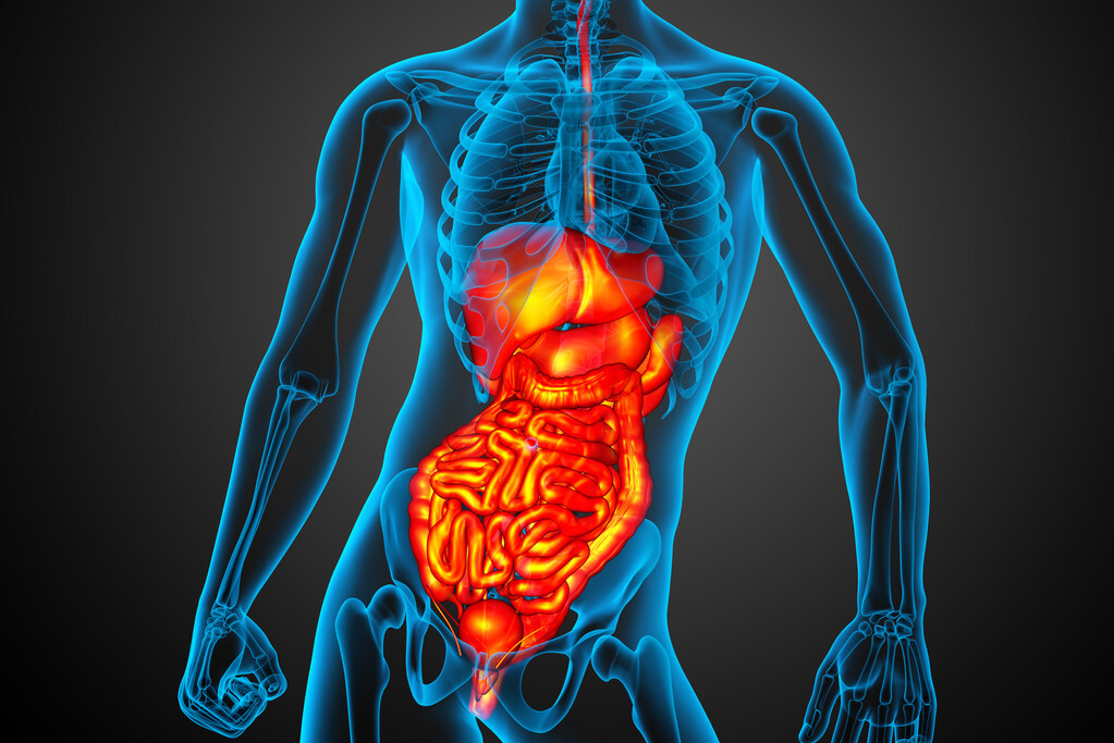 脾大是怎么回事严重吗(突然查出)