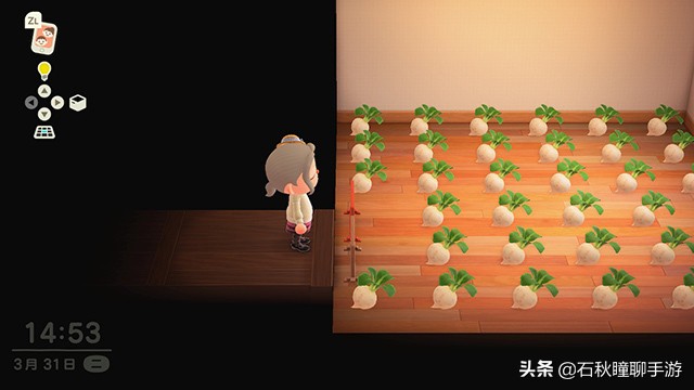 《集合吧！动物之森》大量心得技巧分享攻略 这些秘技你知道吗？