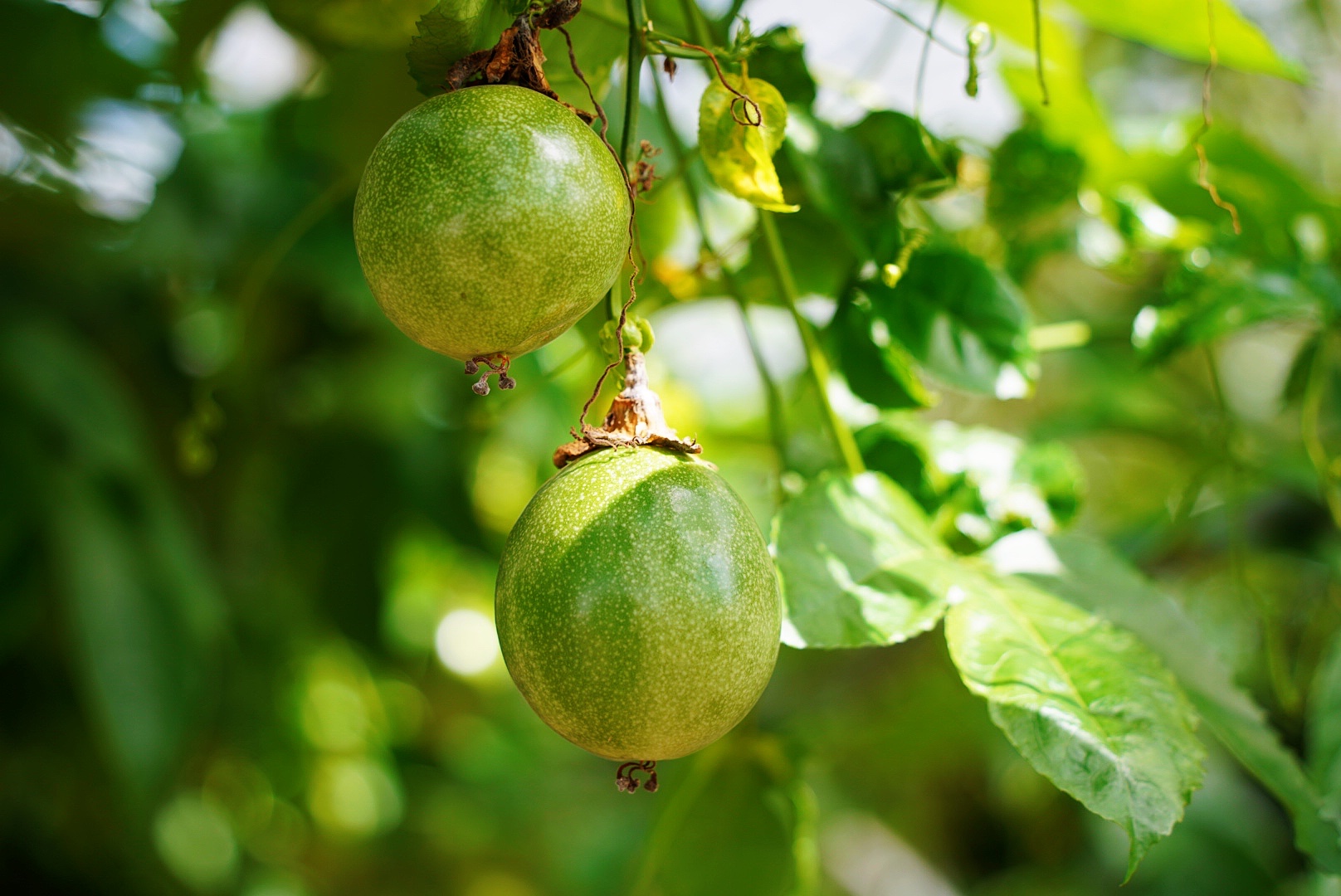 江浙沪包邮区推荐一处仙境，仅需2晚3天，国庆长假余额足还来得及