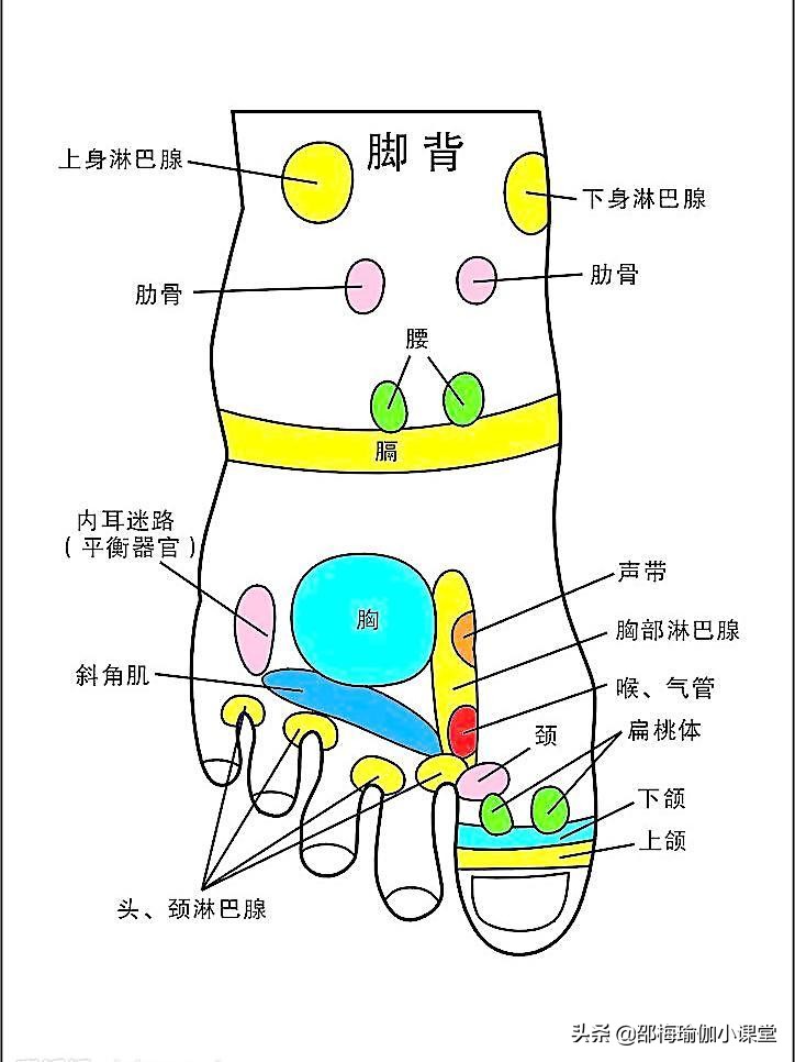 不小心崴脚了，骨折了？我来教你四个瑜伽体式避免崴脚伤到脚踝