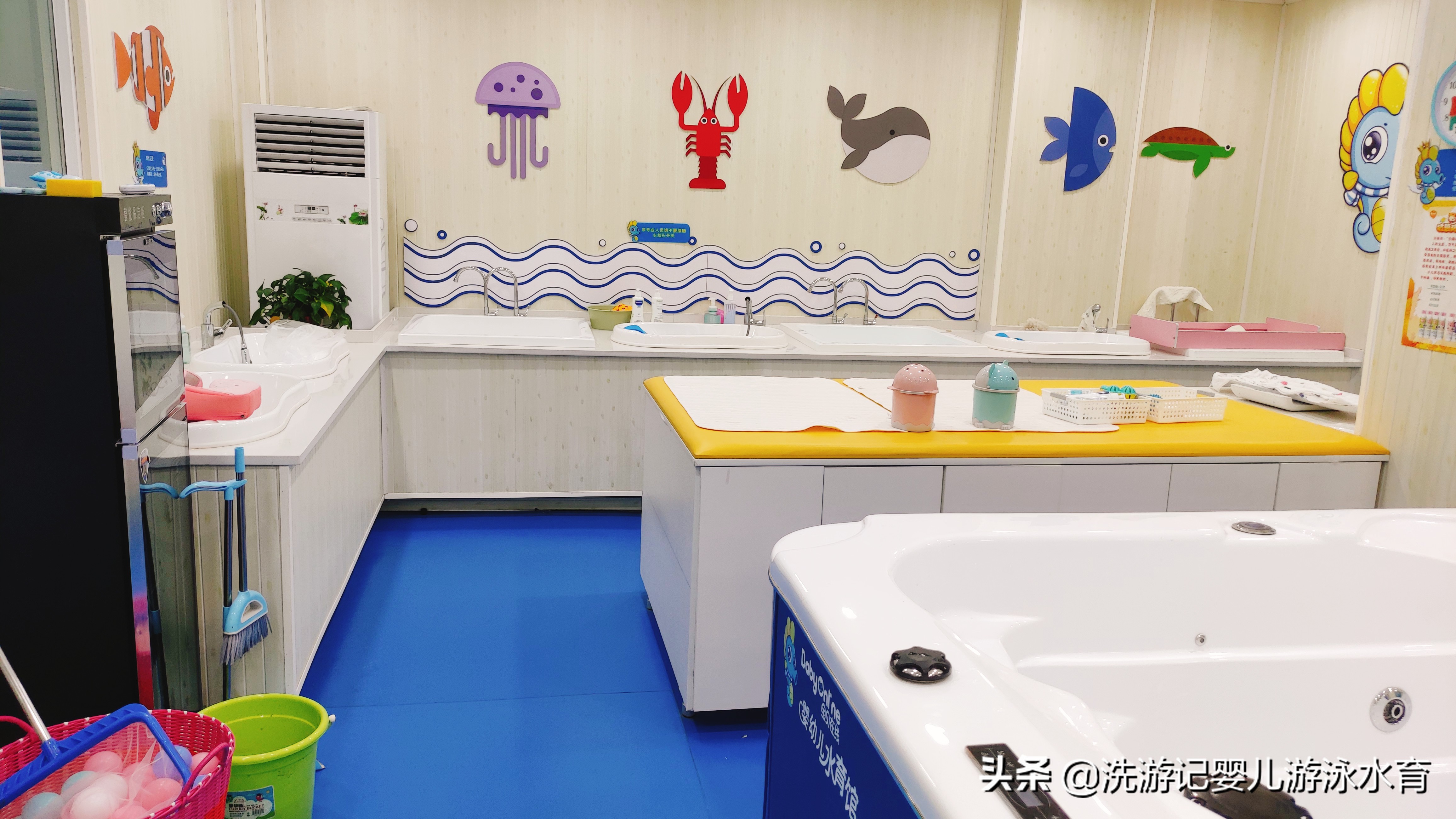 嬰幼兒游泳加盟：加盟好還是自己開好？大概需要多少錢？