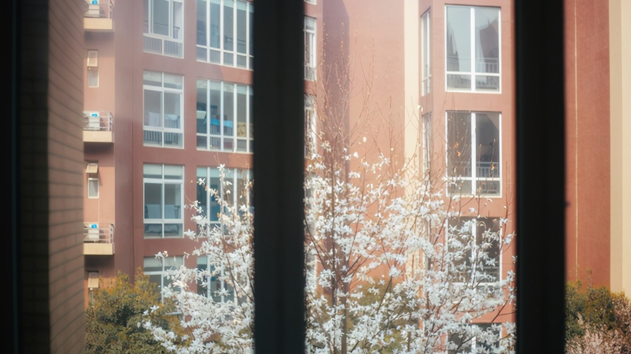 电子科技大学录取分最高的5大专业，个个是热门，好就业薪资高