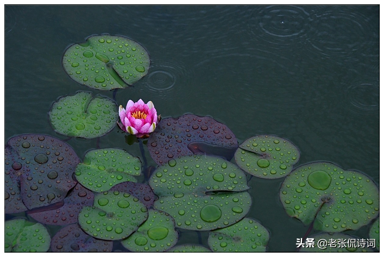 人生如梦往事如烟，都在唐诗“伤心阔别三千里，屈指思量四五年”