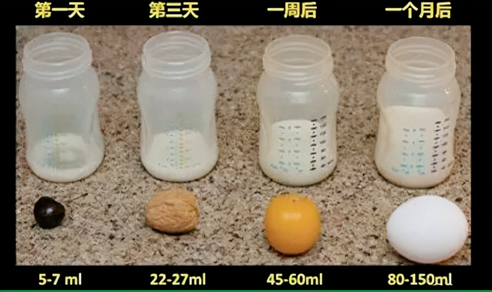 新生宝宝胃大小如樱桃，一岁像鸡蛋，很多家长陷误区，你喂对了吗