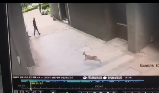 南京大学，生日快乐！