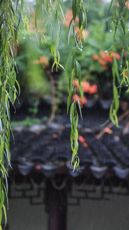 夜深，听窗前秋雨