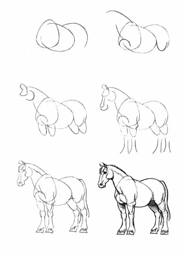 马的简笔画(简笔画教程,50个马的画法!