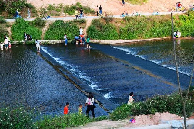 深圳湾大沙河傍晚秋意抒怀