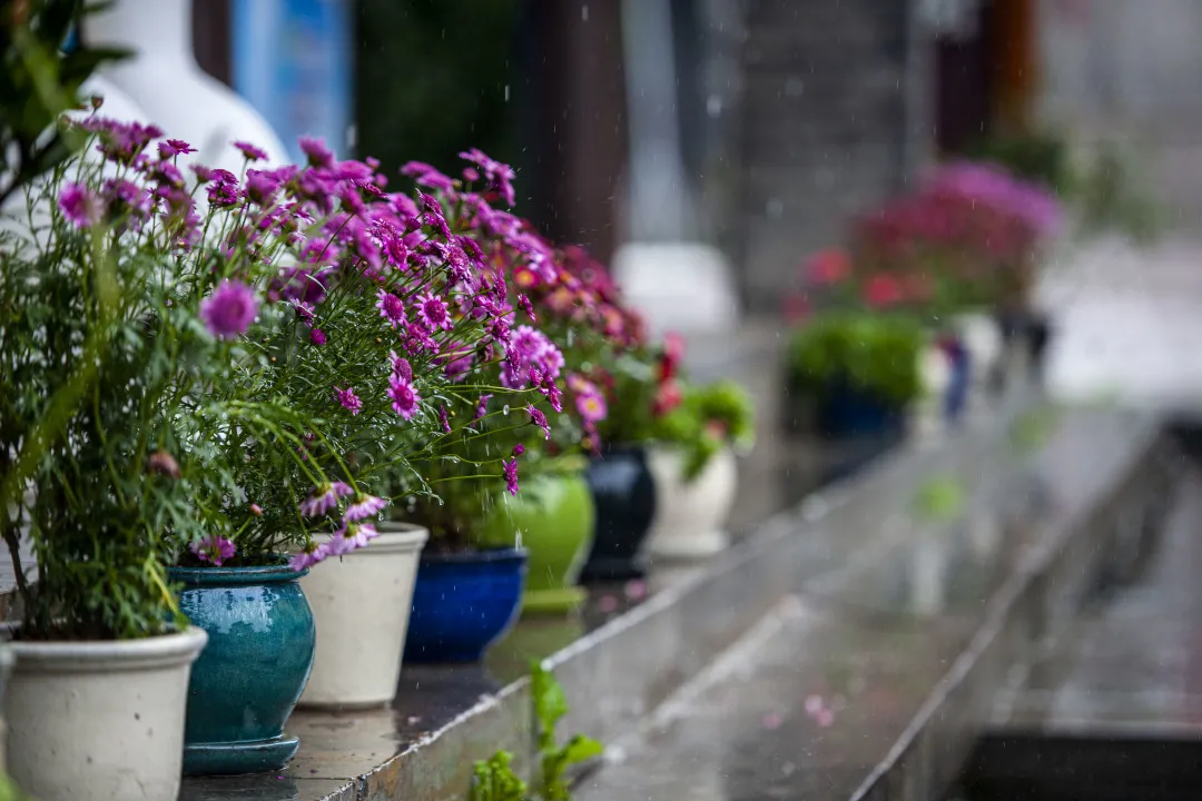 六月人间 | 古城之韵，烟雨蒙蒙让人沉醉！