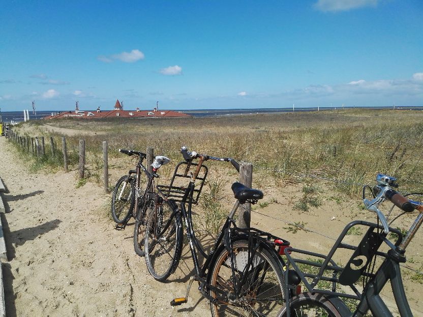 荷兰的蓝天大海郁金香，一个让人痴迷的地方