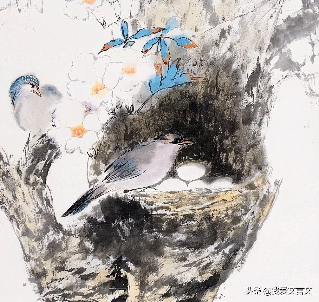 经典文言文赏析 | 鸟说