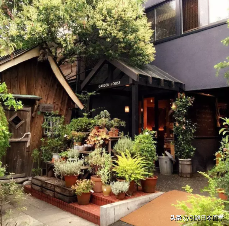 励志，赴日留学，你后悔了吗？