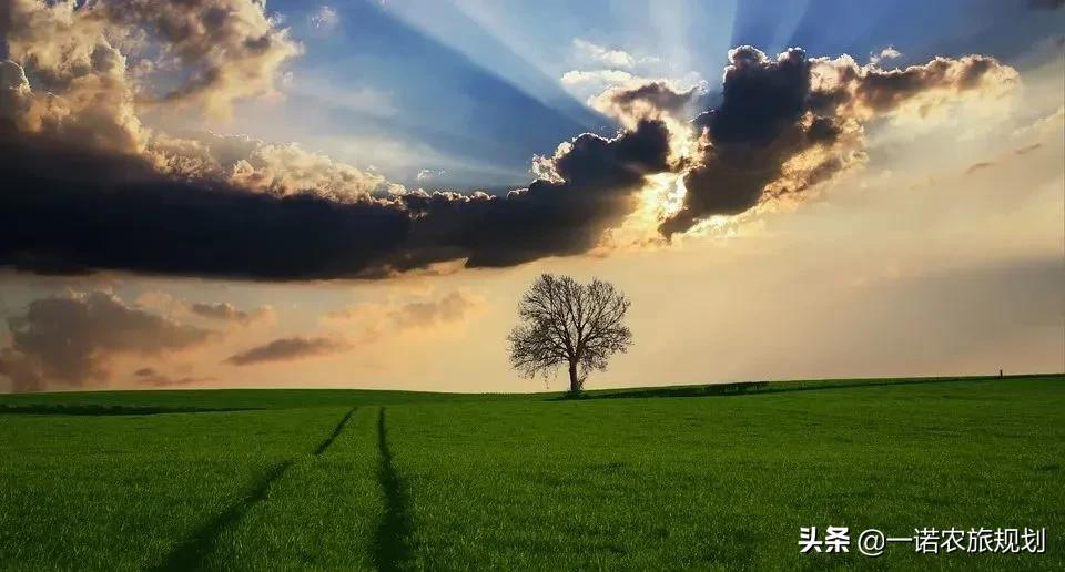 乡村振兴：切忌产业盲目导入，与当地资源匹配是关键