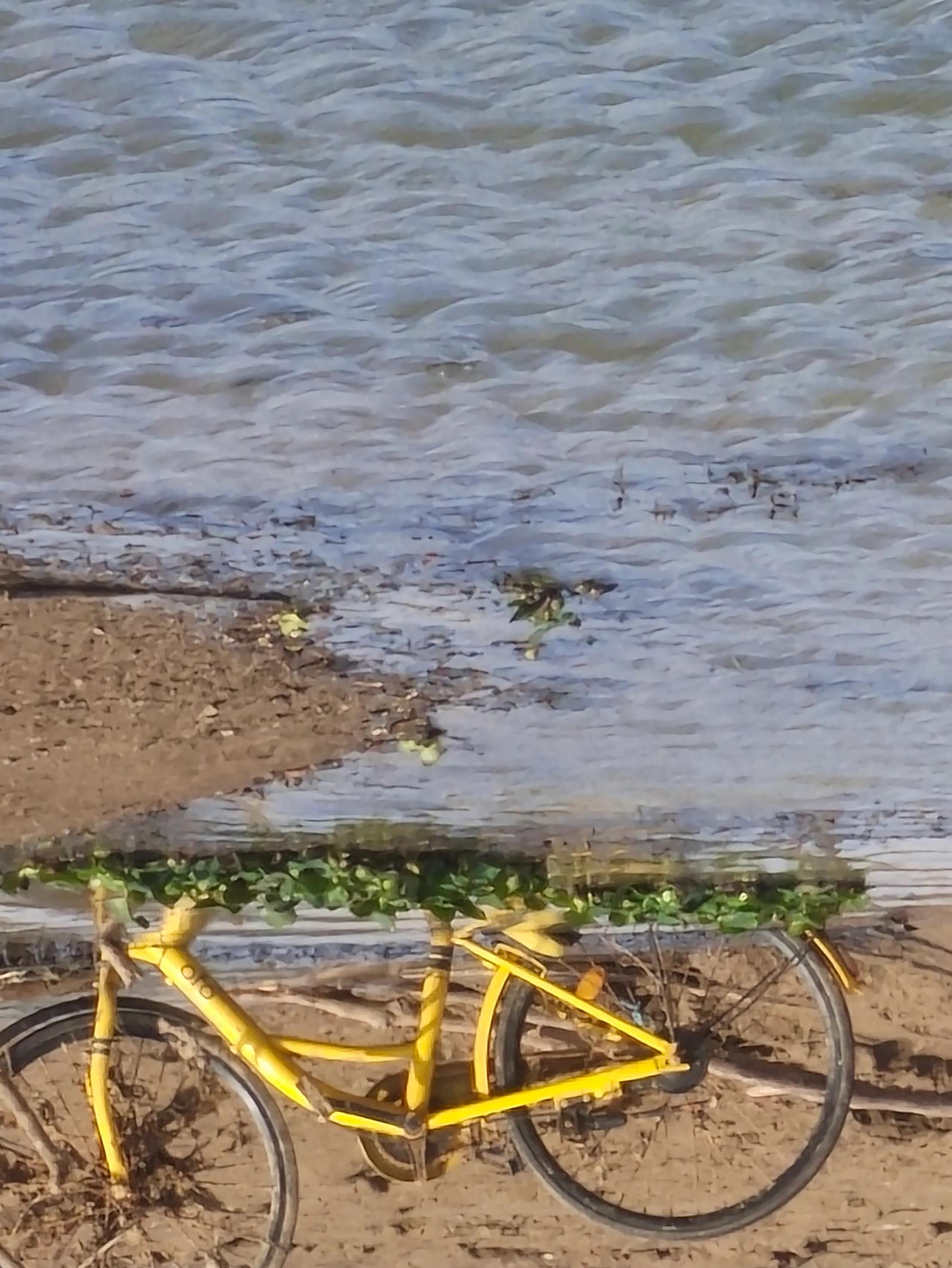 手拍世界（手机摄影平台）-群员作品集（总第733期）