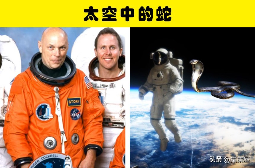 宇航员亲述：太空十大恐怖错觉与六大骇人经历