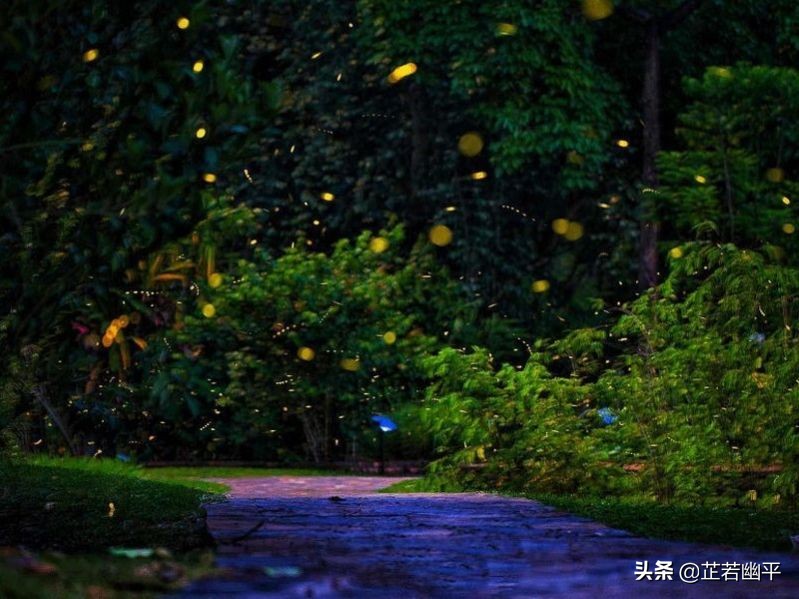 大暑｜暑气浓，清风漫，夏渐去，秋渐来