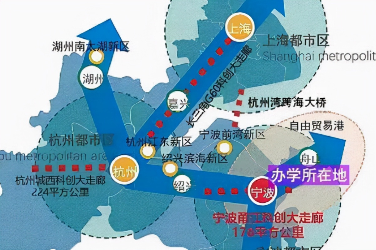 恭喜！宁波市这一区被选中，迎来一研究型大学，投资高达460亿元