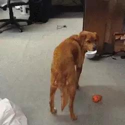 这就是做财务的你…哈哈哈哈哈