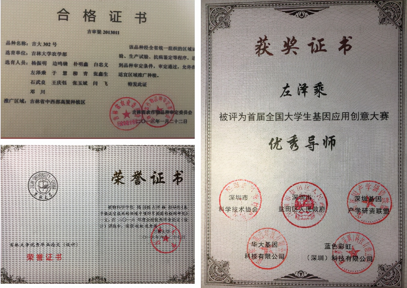 国际关注！东北“超牛”教师：研究步入世界前沿，成果登顶《自然》《科学》！