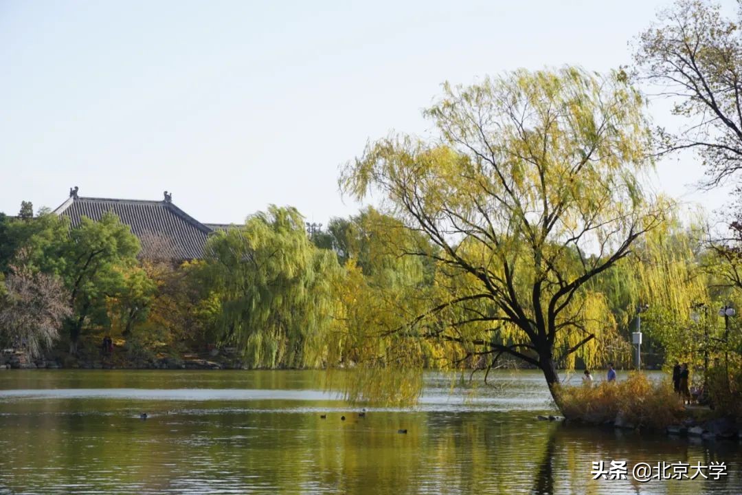 独家限定！北大赏秋地图来了