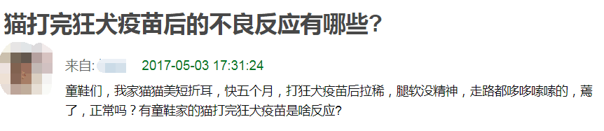 辟谣：狂犬疫苗和猫三联一样重要，所有猫咪都应该打狂犬疫苗