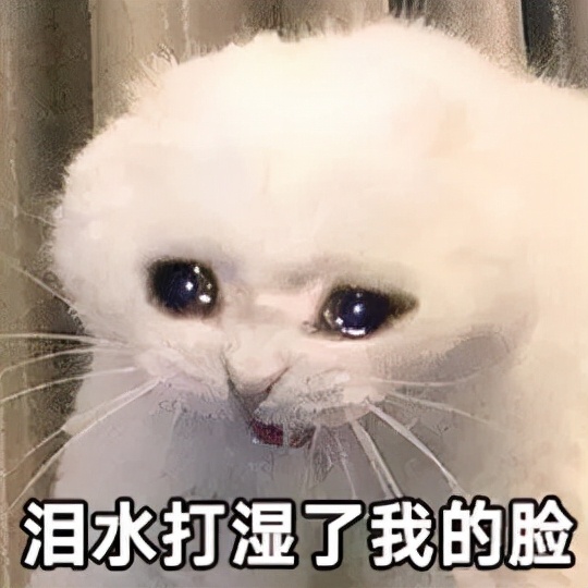 天呐，我究竟是为啥要学俄语啊