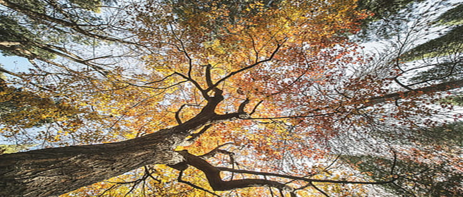 2021年第三季度舆论舆情分析报告汇总版