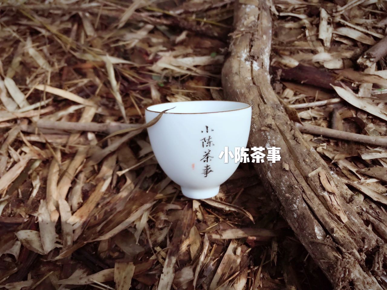 铁观音新茶几月上市（掌握6大茶类春茶的上市时间）