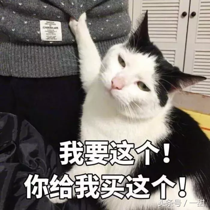 他们说:恕我直言,这些烘焙工具都是“辣鸡”