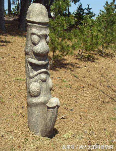 丁丁多大算正常?可以更大吗?它会断吗?你好奇的问题都在这里