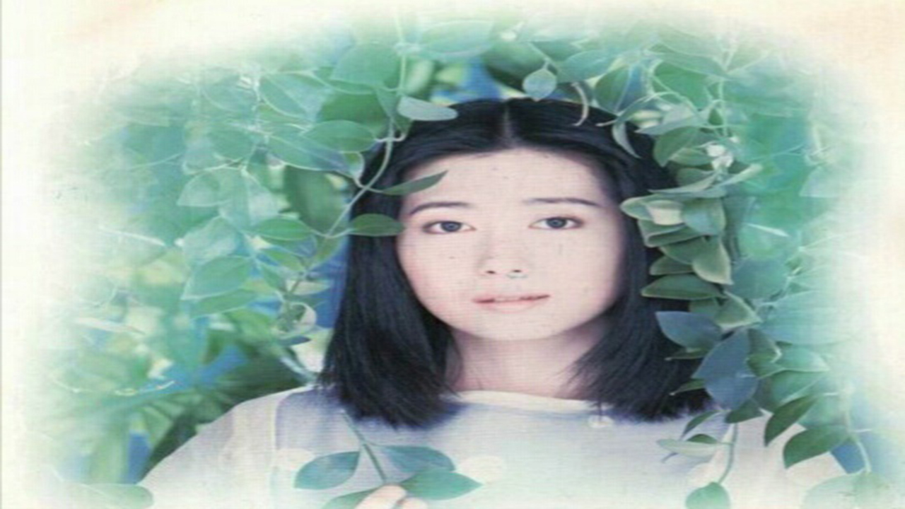 混混欲睡中，听着一首首经典老歌，忆起流金岁月，品味生活百味！