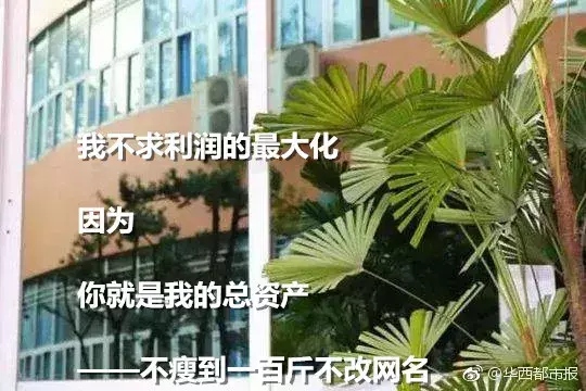 最美的三行情诗：句子很短，爱你如诗