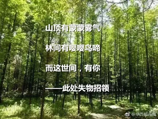 最美的三行情诗：句子很短，爱你如诗