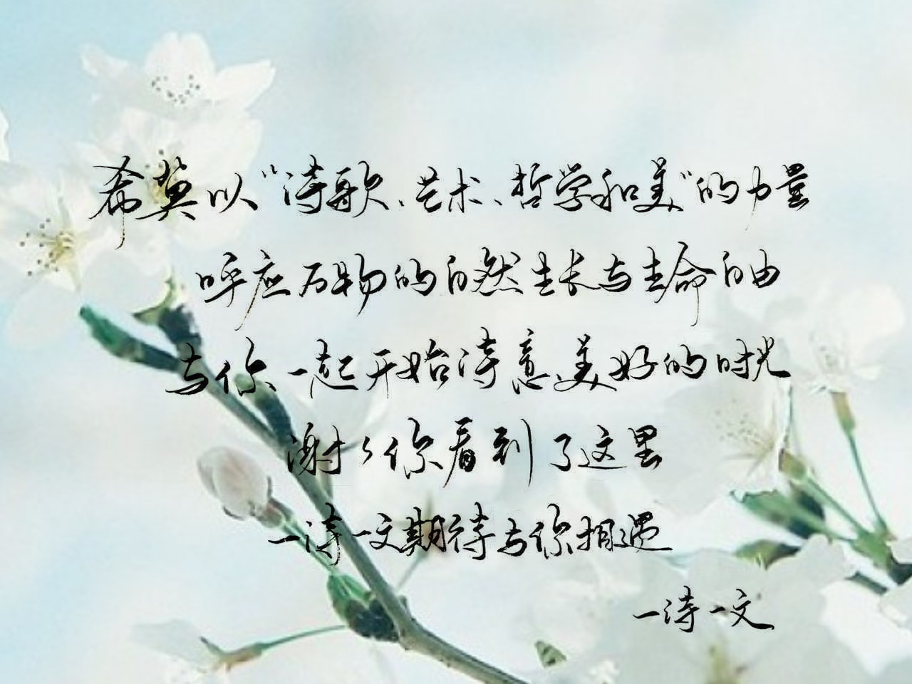 三生石，奈何桥，彼岸花开，生生世世