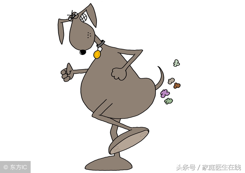 为什么你的屁味比较重？可能是这6个因素在作怪