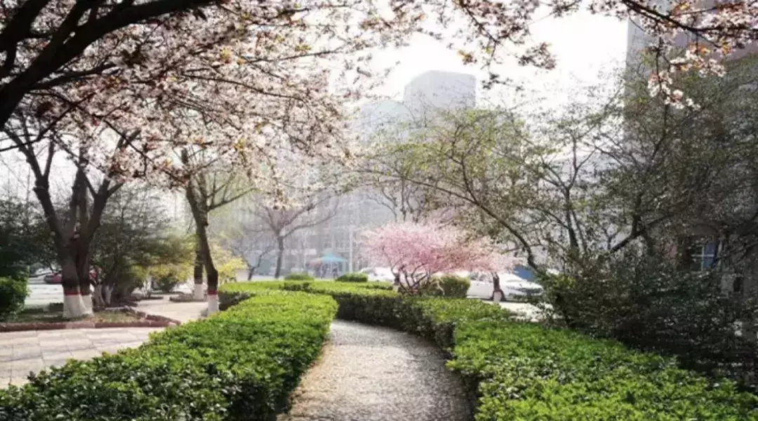 厉害了!河北这23校要享誉全国啦!为母校骄傲吧