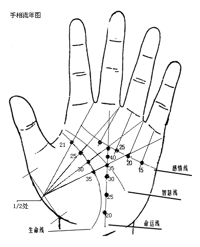 通过一个手掌看你一生如何？