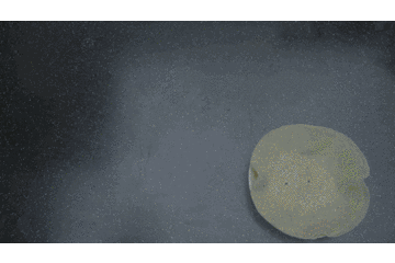 吃点不一样的！教你在家如何做出色香味俱全的土耳其沙威玛